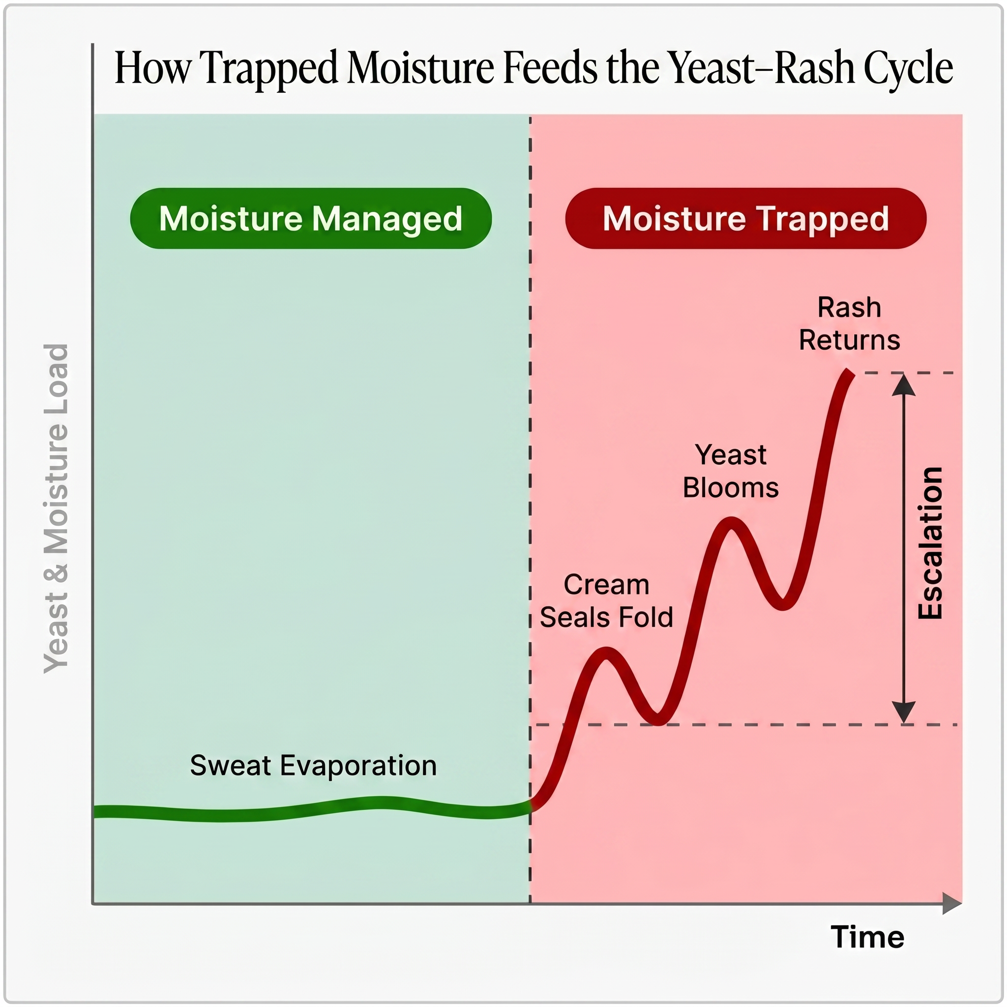 How the moisture–yeast cycle compounds with every flare-up in a skin fold
